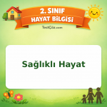 2. Sınıf Hayat Bilgisi Sağlıklı Hayat Testi Görseli