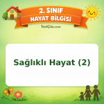 2. Sınıf Hayat Bilgisi Sağlıklı Hayat (2) Testi Görseli