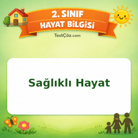 2. Sınıf Hayat Bilgisi Sağlıklı Hayat Testi Görseli