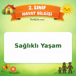 2. Sınıf Hayat Bilgisi Sağlıklı Yaşam Testi Görseli
