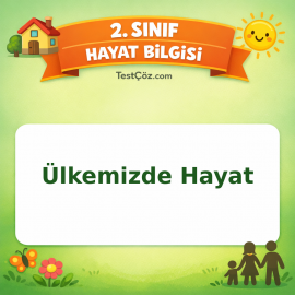 2. Sınıf Hayat Bilgisi Ülkemizde Hayat Testi Görseli