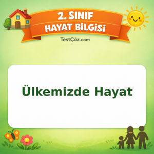 2. Sınıf Hayat Bilgisi Ülkemizde Hayat Testi Görseli