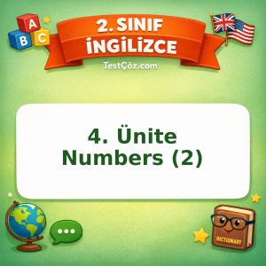 2. Sınıf İngilizce 4. Ünite Numbers (2) Testi Görseli