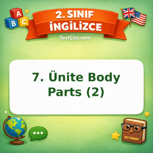 2. Sınıf İngilizce 7. Ünite Body Parts (2) Testi Görseli