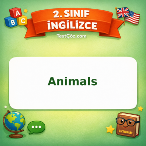 2. Sınıf İngilizce Animals Testi Görseli