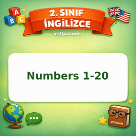 2. Sınıf İngilizce Numbers 1-20 Testi Görseli