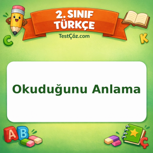 2. Sınıf Türkçe Okuduğunu Anlama Testi Görseli