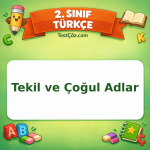2. Sınıf Türkçe Tekil ve Çoğul Adlar Testi Görseli