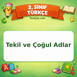 2. Sınıf Türkçe Tekil ve Çoğul Adlar Testi Görseli