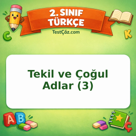 2. Sınıf Türkçe Tekil ve Çoğul Adlar (3) Testi Görseli