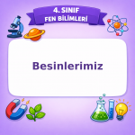 4. Sınıf Fen Bilimleri Besinlerimiz Görseli