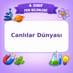 4. Sınıf Fen Bilimleri Canlılar Dünyası Testi Görseli