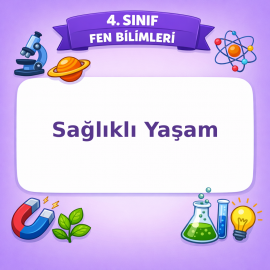 4. Sınıf Fen Bilimleri Sağlıklı Yaşam Testi Görseli