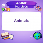 4. Sınıf İngilizce Animals Testi Görseli