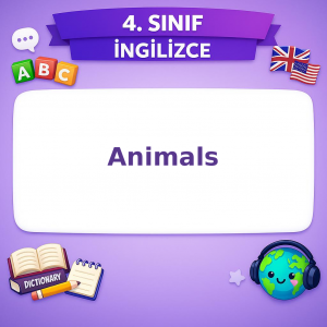 4. Sınıf İngilizce Animals Testi