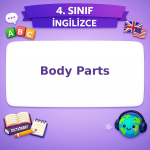 4. Sınıf İngilizce Body Parts Testi Görseli