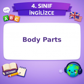 4. Sınıf İngilizce Body Parts Testi Görseli