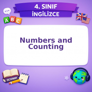 4. Sınıf İngilizce Numbers and Counting Testi Görseli