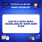 LGS'ye 6 Ayda Nasıl Hazırlanılır? Adım Adım Plan