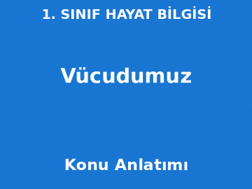1. Sınıf Hayat Bilgisi Vücudumuz Konu Anlatımı
