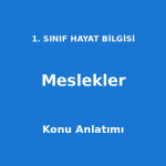 1. Sınıf Hayat Bilgisi Meslekler Konu Anlatımı