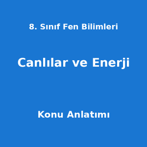 8. Sınıf Fen Bilimleri Canlılar ve Enerji Konu Anlatımı