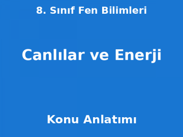 8. Sınıf Fen Bilimleri Canlılar ve Enerji Konu Anlatımı