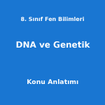 8. Sınıf Fen Bilimleri DNA ve Genetik Konu Anlatımı