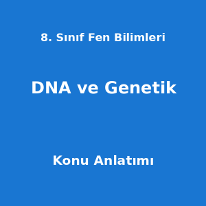 8. Sınıf Fen Bilimleri DNA ve Genetik Konu Anlatımı