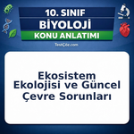 10. Sınıf Biyoloji Ekosistem Ekolojisi ve Güncel Çevre Sorunları Konu Anlatımı
