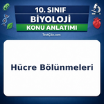 10. Sınıf Biyoloji Hücre Bölünmeleri Mitoz ve Mayoz Konu Anlatımı