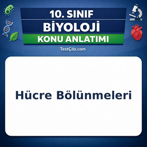 10. Sınıf Biyoloji Hücre Bölünmeleri Mitoz ve Mayoz Konu Anlatımı