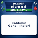 10. Sınıf Biyoloji Kalıtımın Genel İlkeleri Konu Anlatımı