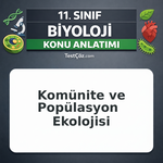 11. Sınıf Biyoloji Komünite ve Popülasyon Ekolojisi Konu Anlatımı