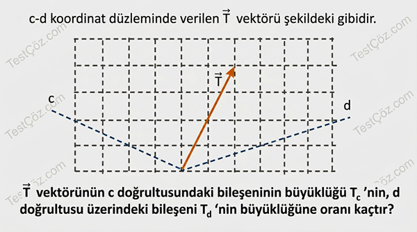 11. Sınıf Fizik Testi: Vektörler ve Bağıl Hareket