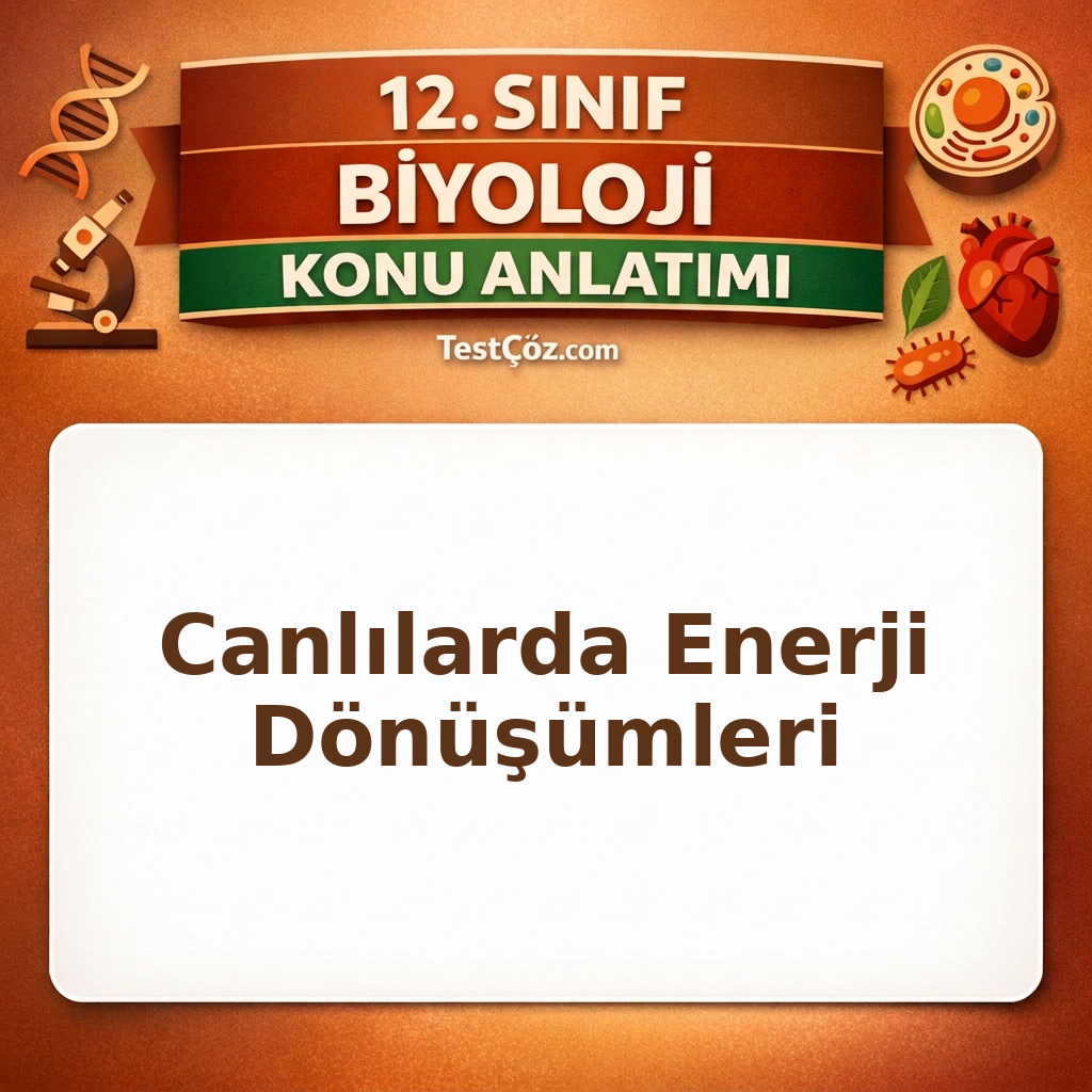 12. Sınıf Biyoloji Canlılarda Enerji Dönüşümleri Konu Anlatımı