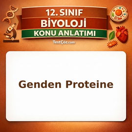 12. Sınıf Biyoloji Genden Proteine Konu Anlatımı