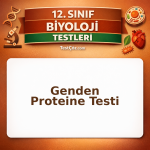 12. sınıf biyoloji genden proteine testi