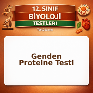 12. sınıf biyoloji genden proteine testi