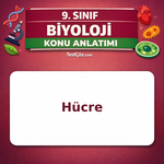 9. Sınıf Biyoloji Hücre Konu Anlatımı