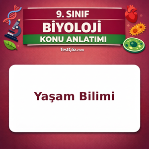 9. Sınıf Biyoloji Yaşam Bilimi Konu Anlatımı: Canlı Özellikleri, Organik Bileşikler ve Enzimler