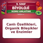 9. Sınıf Biyoloji Yaşam Bilimi Konu Anlatımı: Canlı Özellikleri, Organik Bileşikler ve Enzimler
