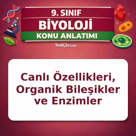 9. Sınıf Biyoloji Yaşam Bilimi Konu Anlatımı: Canlı Özellikleri, Organik Bileşikler ve Enzimler