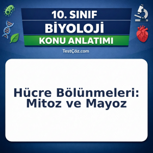 10. Sınıf Biyoloji Hücre Bölünmeleri Mitoz ve Mayoz Konu Anlatımı