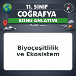 11. Sınıf Coğrafya Biyoçeşitlilik ve Ekosistem Konu Anlatımı