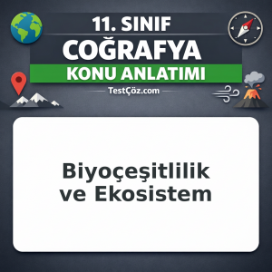 11. Sınıf Coğrafya Biyoçeşitlilik ve Ekosistem Konu Anlatımı