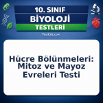 10. Sınıf Biyoloji Hücre Bölünmeleri: Mitoz ve Mayoz Evreleri Testi