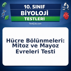 10. Sınıf Biyoloji Hücre Bölünmeleri: Mitoz ve Mayoz Evreleri Testi