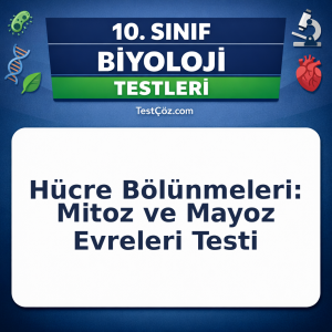 10. Sınıf Biyoloji Hücre Bölünmeleri: Mitoz ve Mayoz Evreleri Testi