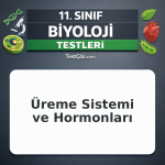 11. Sınıf Biyoloji Testi: Üreme Sistemi ve Hormonları